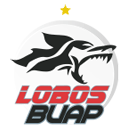 Lobos BUAP (W)